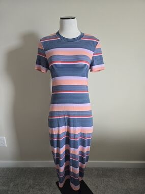 Rachel Striped Maxi Dress in Blue and Pink